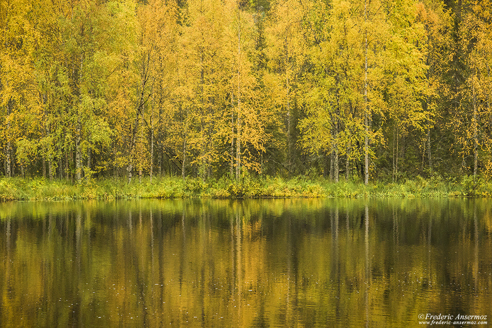 Autmn colors in Finland, water reflection