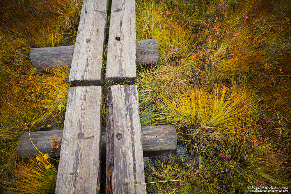 Peatlands in Finland, boardwalk