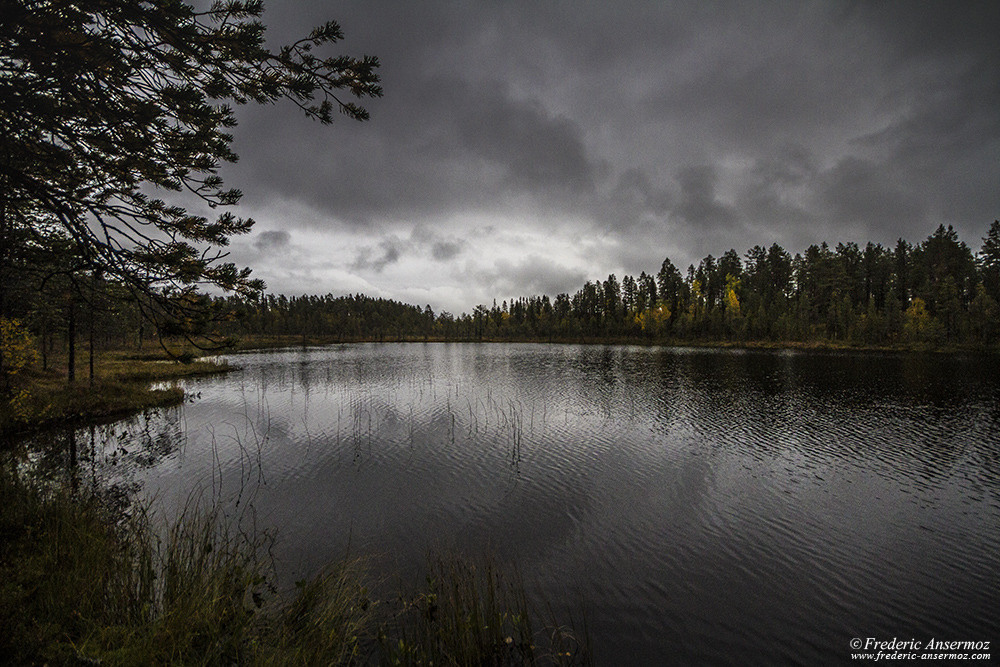 Zone humide en Finlande, étang, parc national d'Oulanka