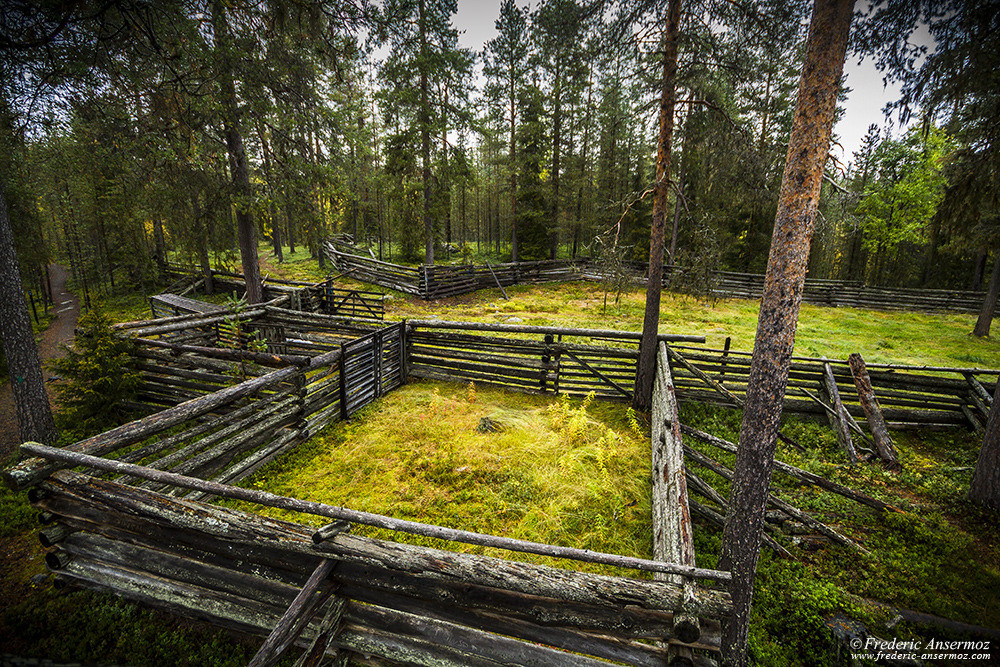 Enclos de rassemblement, Coopérative d’éleveur de rennes, Ala-Kitka, Oulanka, Finlande