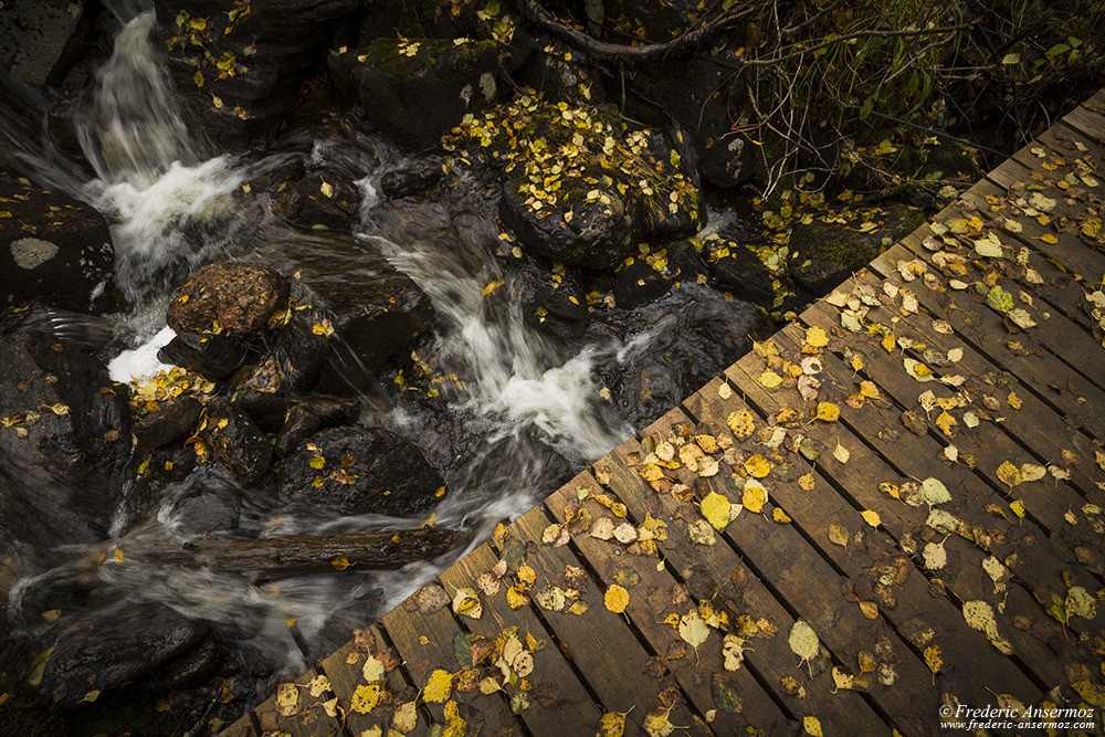 Pont en bois au-dessus du ruisseau, automne en Finlande