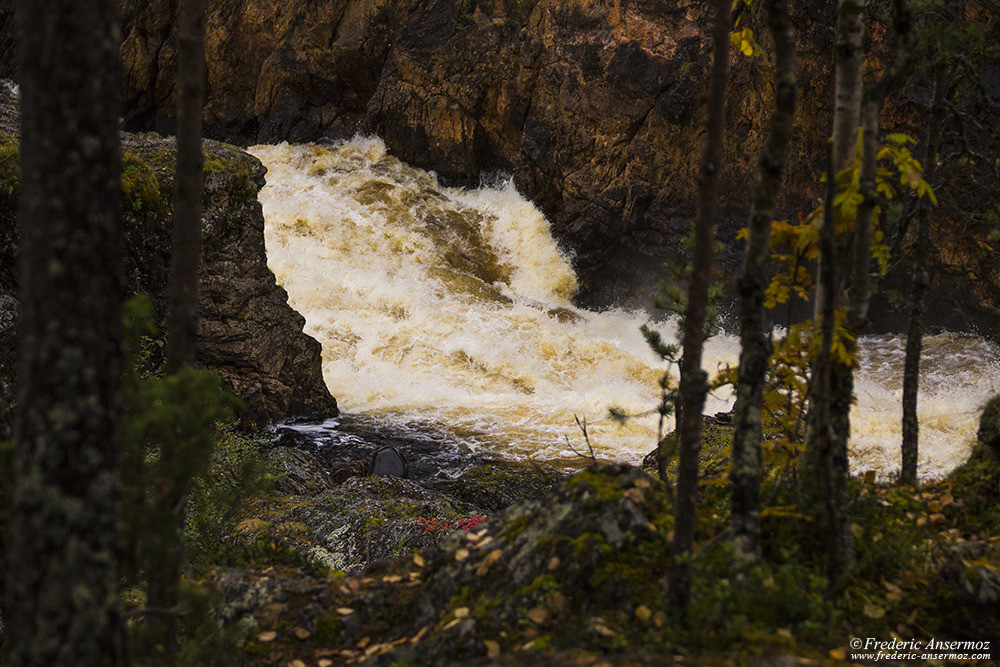 Rapides Kiutaköngäs, parc Oulanka