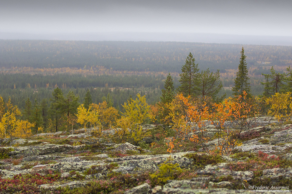 Finnish lapland landscape, Urho Kekkonen National Park