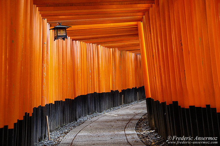 Fushimi inari 05