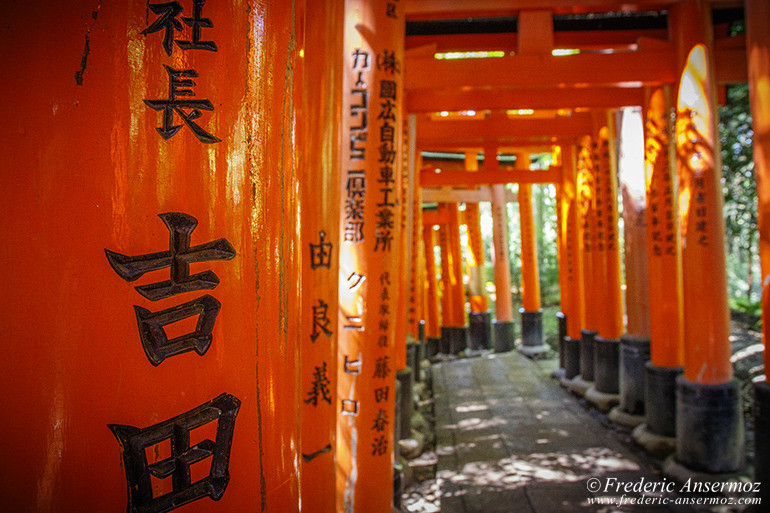 Fushimi inari 08 Fushimi inari 08
