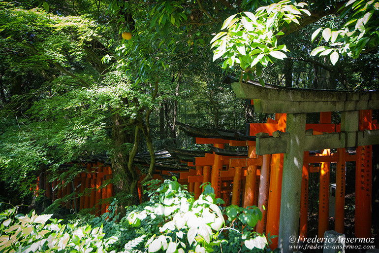 Fushimi inari 09 Fushimi inari 09