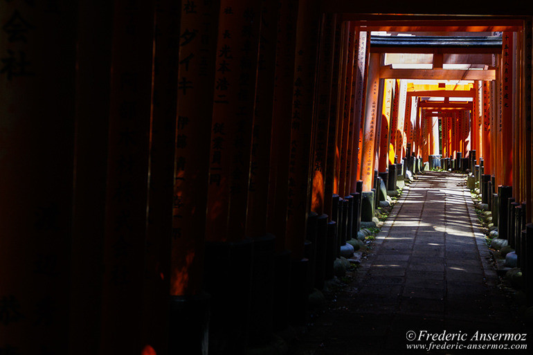 Fushimi inari 12 Fushimi inari 12