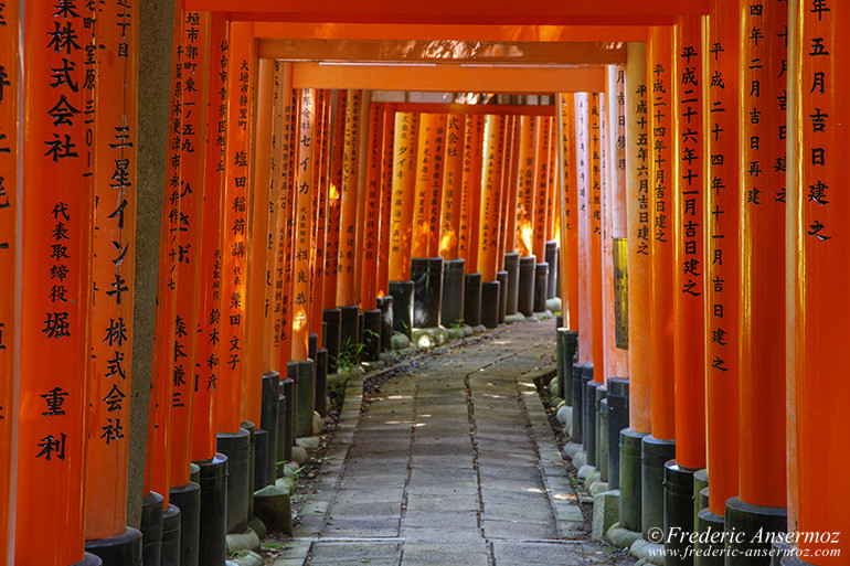 Fushimi inari 13