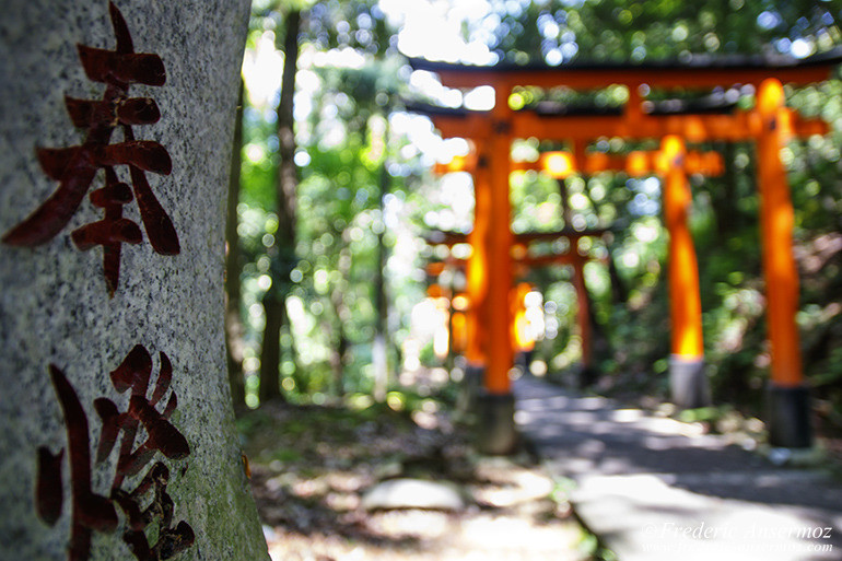 Fushimi inari 15 Fushimi inari 15