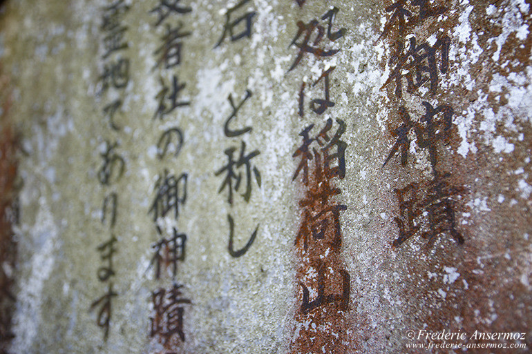 Fushimi inari 16