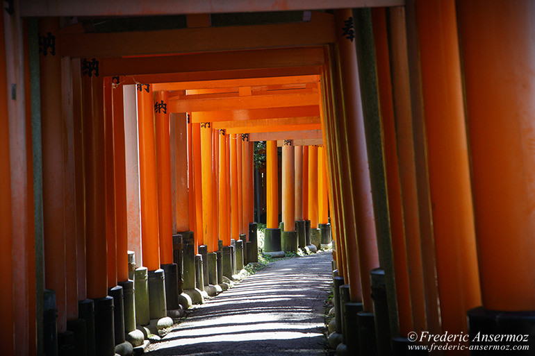 Fushimi inari 18 Fushimi inari 18