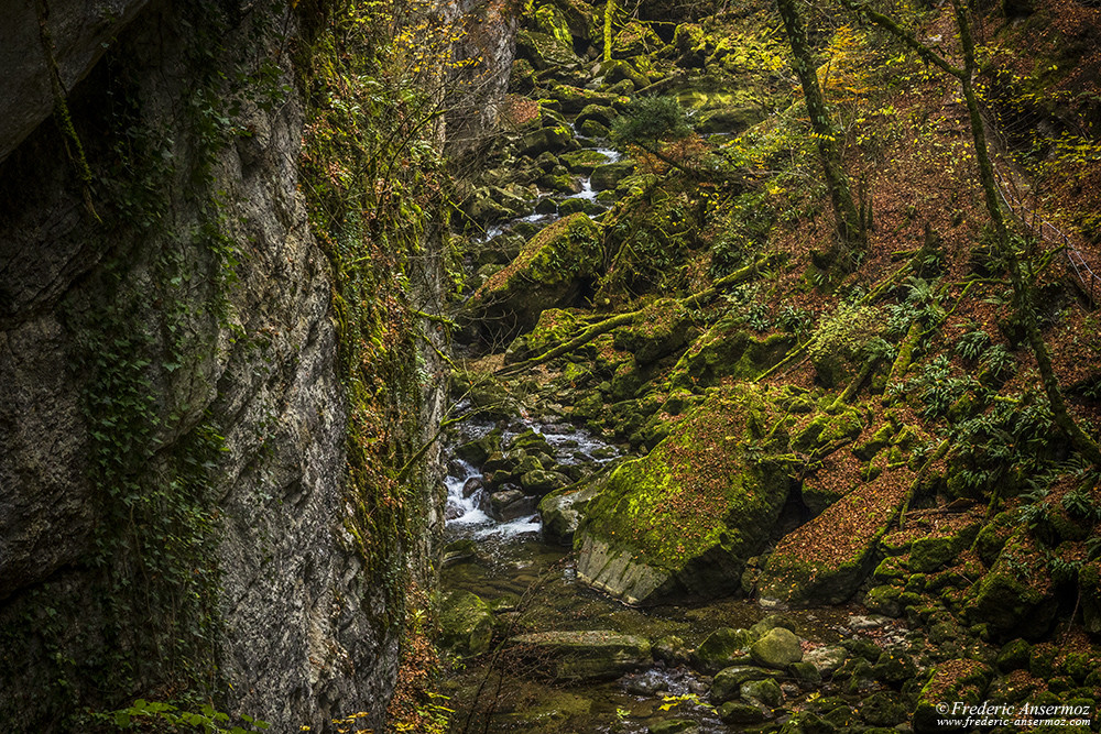 Hiking in Les Gorges de l'Areuse Hiking in Les Gorges de l'Areuse