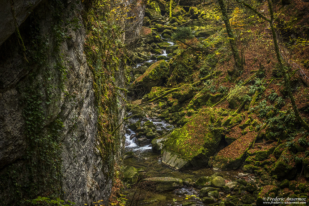 Randonnée dans Les Gorges de l'Areuse