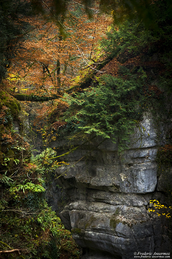 During the Fall Season, the forest is colorful above the gorges During the Fall Season, the forest is colorful above the gorges