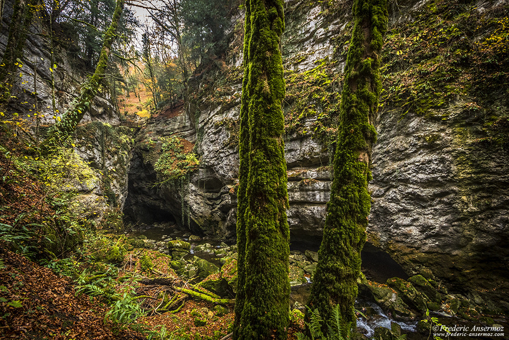 Dans une partie au fond des Gorges de l'Areuse, Suisse