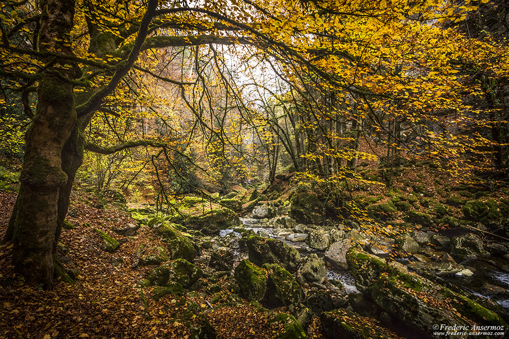 Magical and colorful landscape along the Areuse River, Neuchâtel, Switzerland