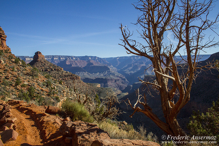 Grand canyon 0625