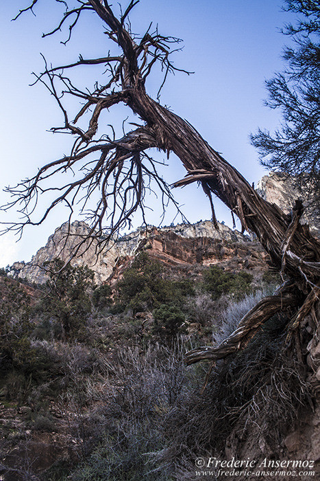 Grand canyon 0633