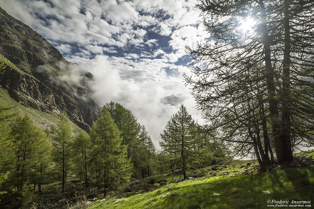 Valnontey hights, hiking in Gran Paradiso, Italy