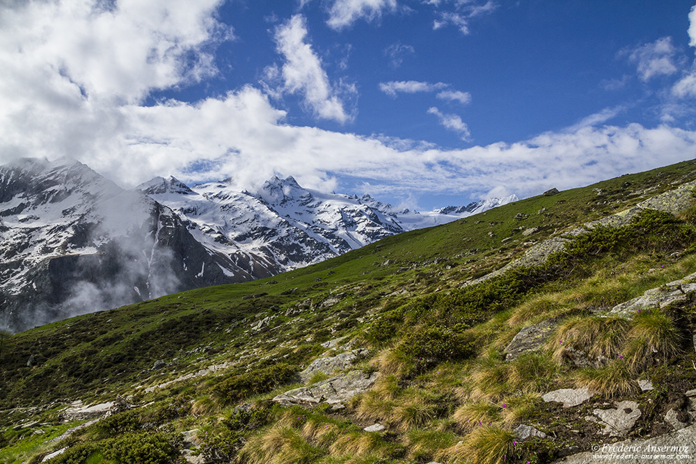 Paysage du Grand Paradis, parc national Italie