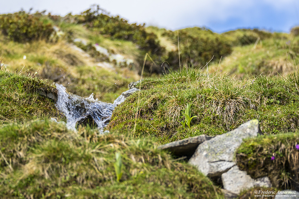 Petit ruisseau de montagne