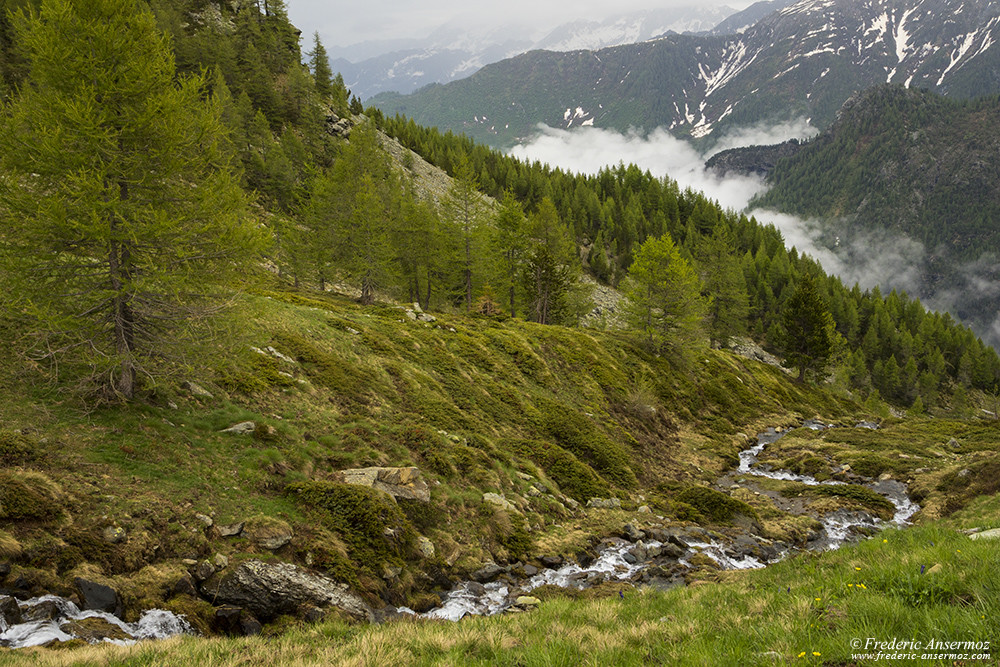 Hiking trails in Italy, Mont Avic Park