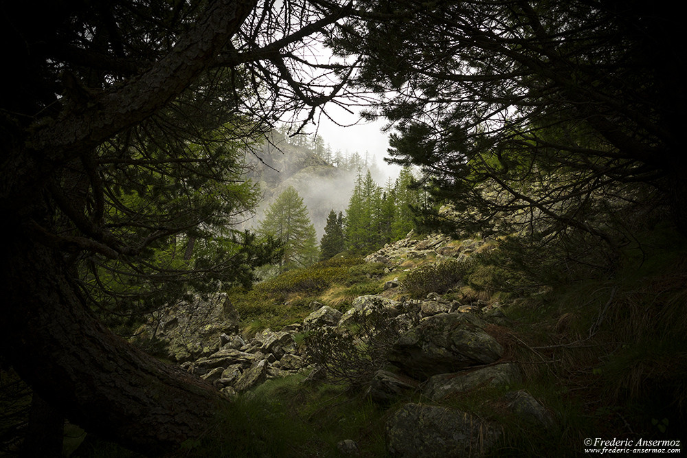 Paysage de montagne dans la brume, Italie