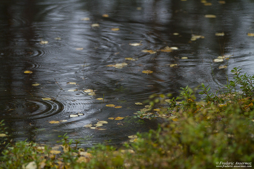 Pluie en Finlande, parc national d'Hossa