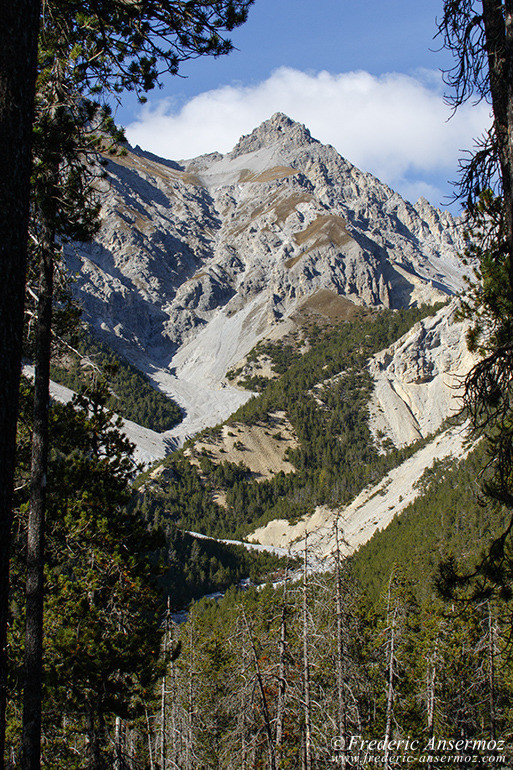 Zernez il fuorn 01