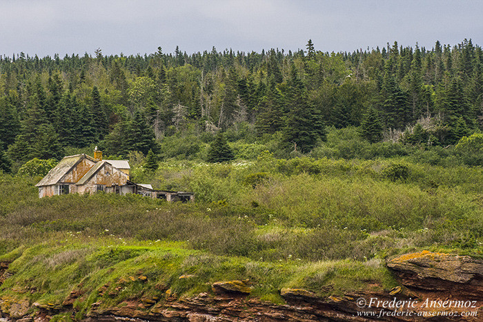 Ile bonaventure 0781