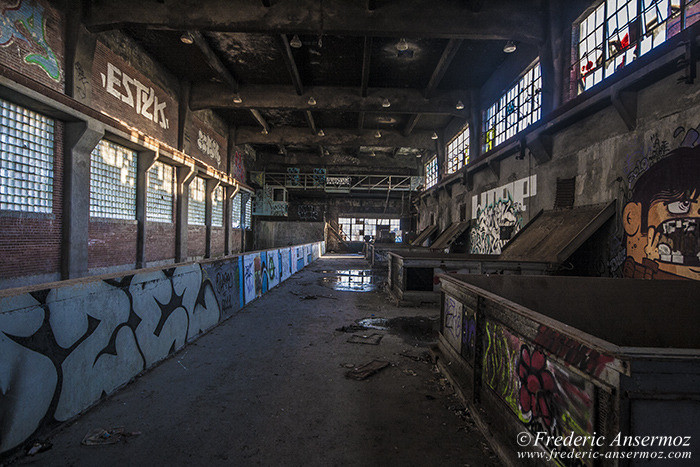 The abandoned Dickson Incinerator of Montreal, Quebec