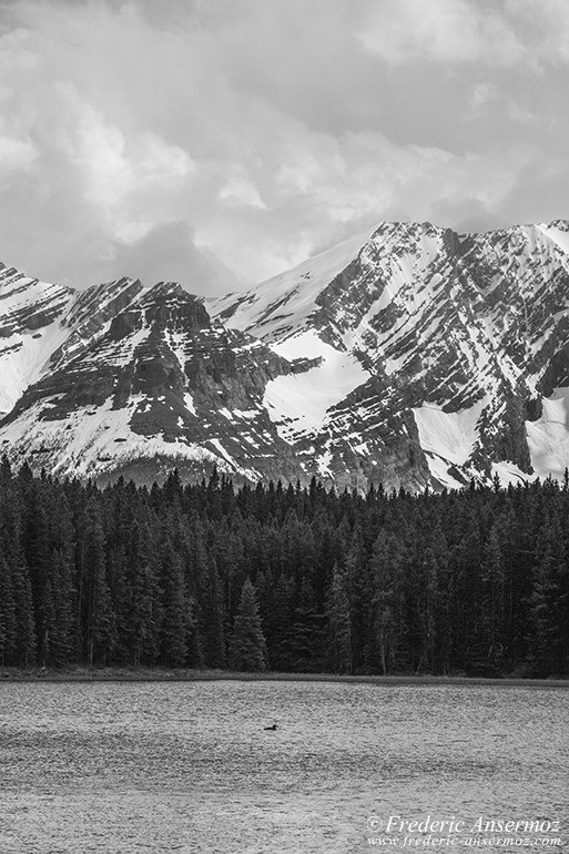 Kananaskis country 44