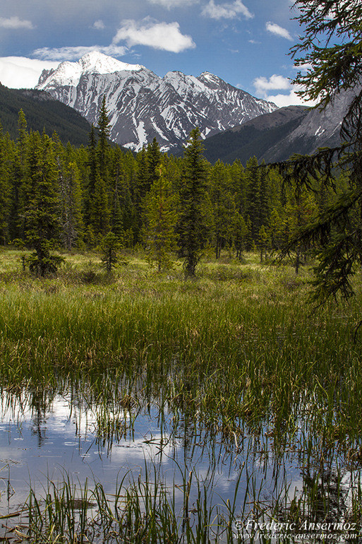 Kananaskis country 45