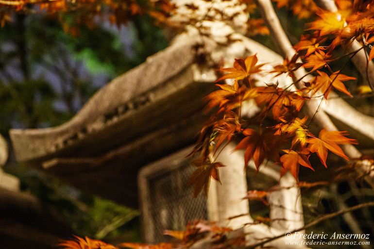 Kyoto 14