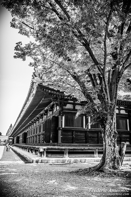 Kyoto 03