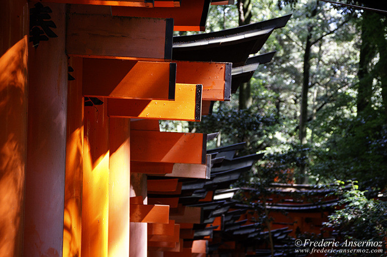 Fushimi inari 01 Fushimi inari 01