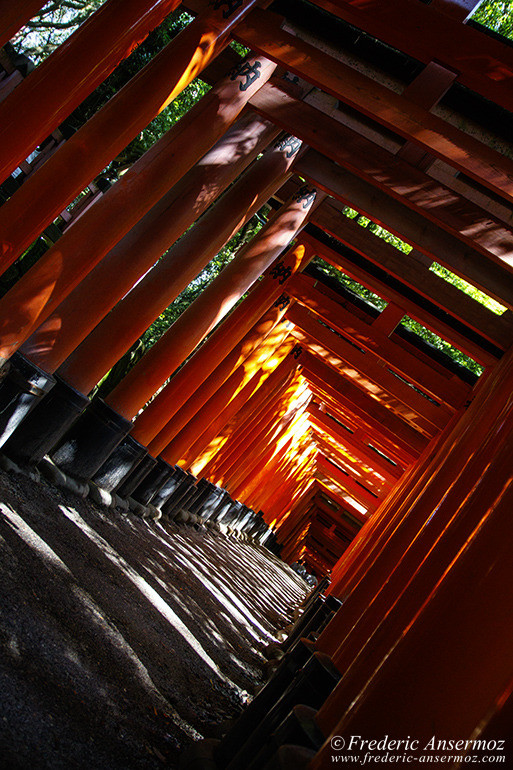 Fushimi inari 03