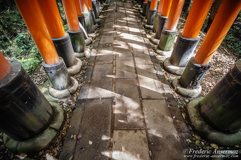 Fushimi inari 04