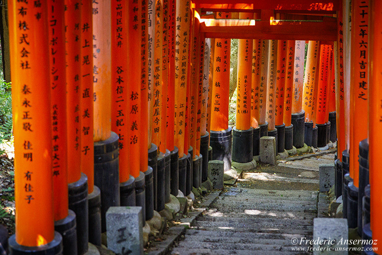 Fushimi inari 05 Fushimi inari 05