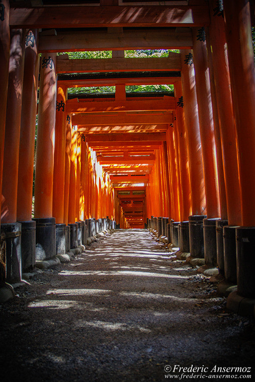 Fushimi inari 06