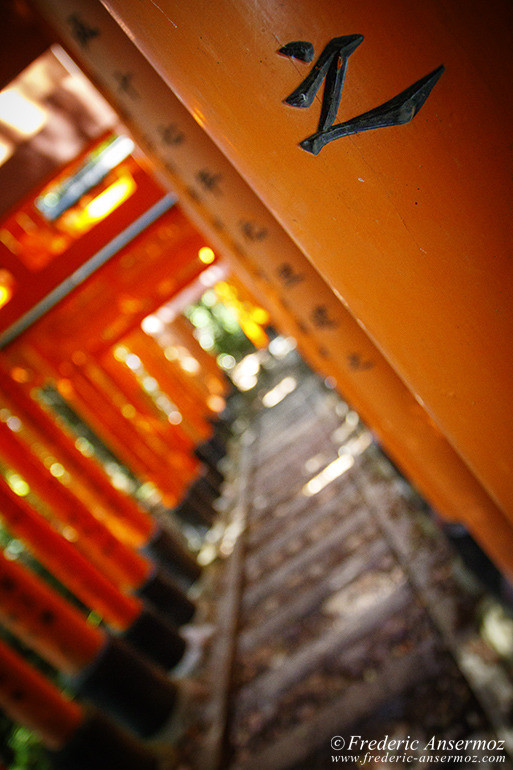 Fushimi inari 07