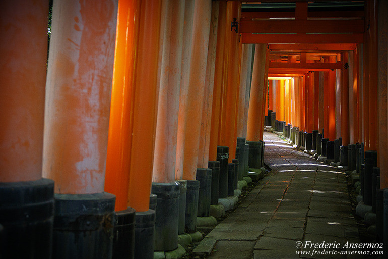 Fushimi inari 08 Fushimi inari 08