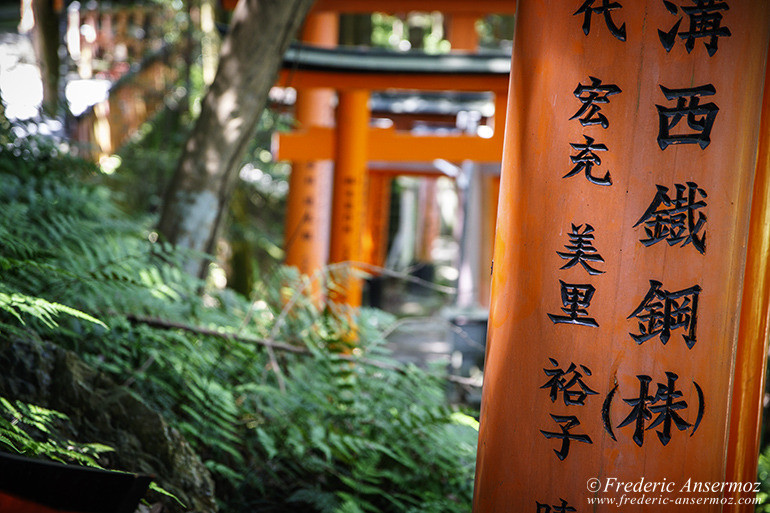 Fushimi inari 09