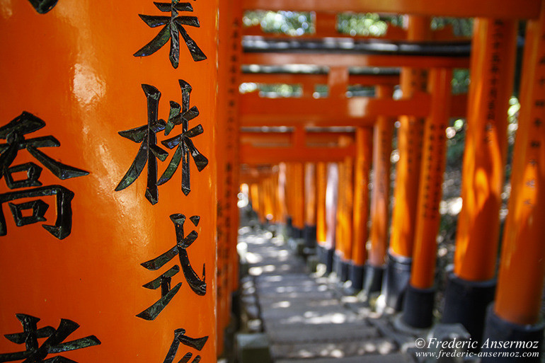 Fushimi inari 14