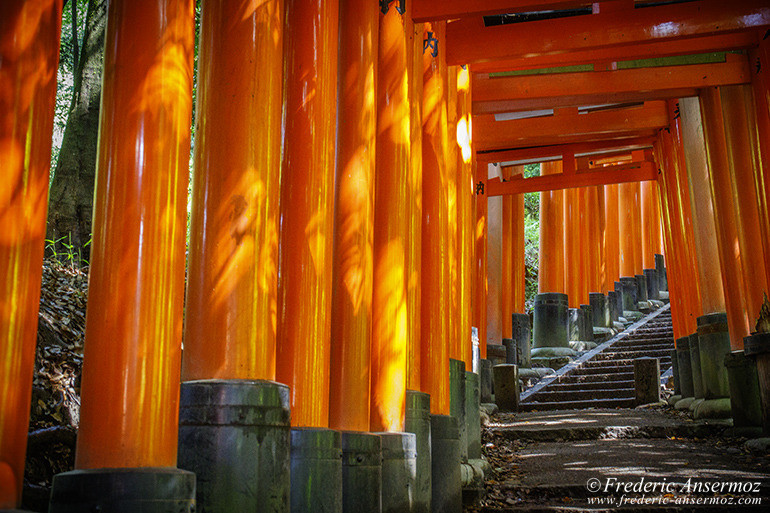 Fushimi inari 15