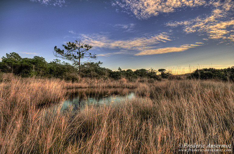 Camargue hdr