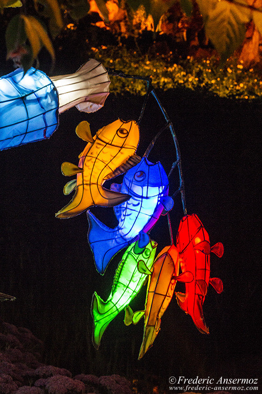 The Lantern Festival of Montreal