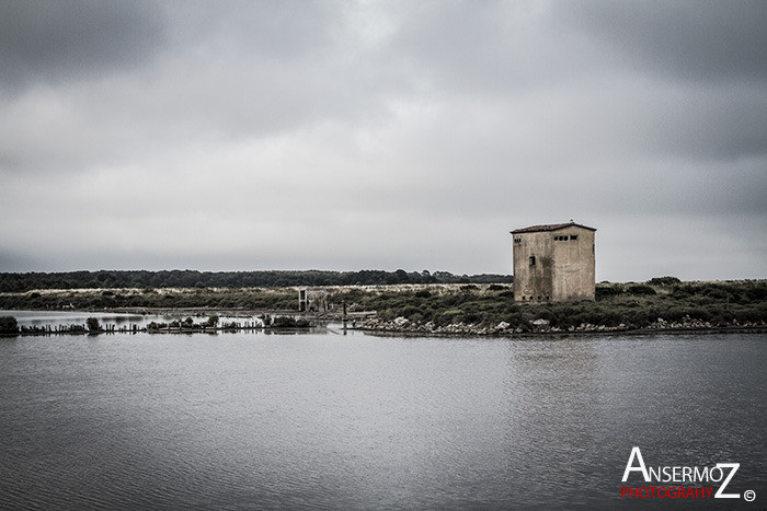 Salins frontignan 094