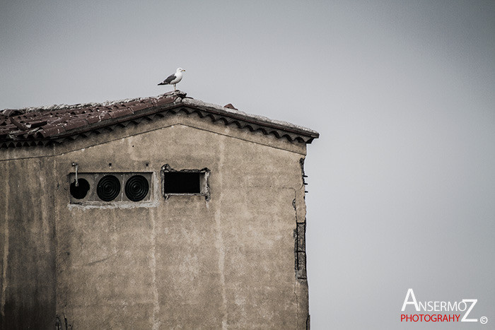 Salins frontignan 095