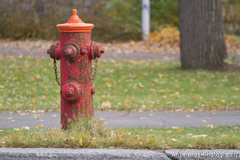 Fire plug photography in street